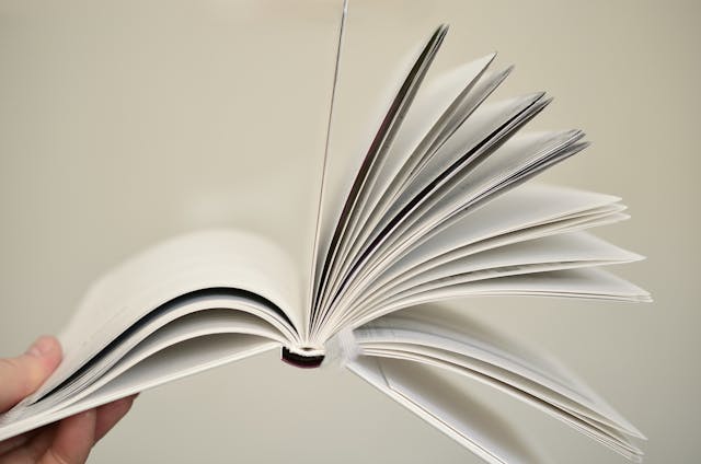 Testamento: entenda regras, quais os tipos e como fazer Negócios